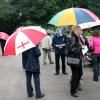 Club members do their judging under the shelter of the umbrellas. 