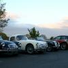 Line up of club cars as the sun sets