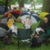 Glyn's BBQ idea for the Sunday turned out to be a bit damp!